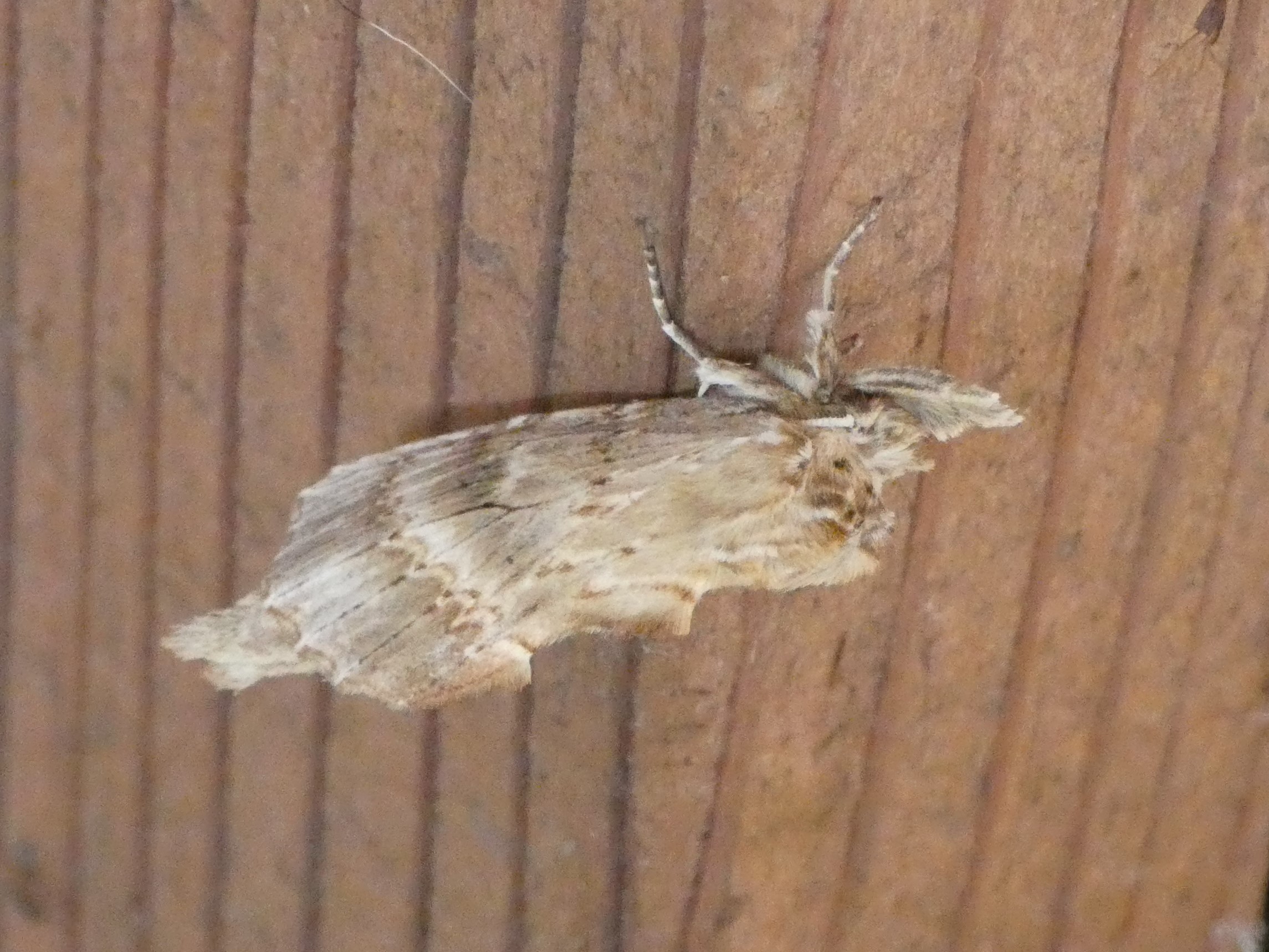 photo_1